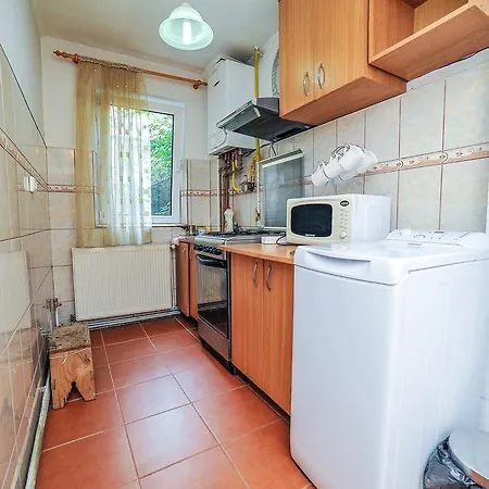 Dorobanti Studio דירה *